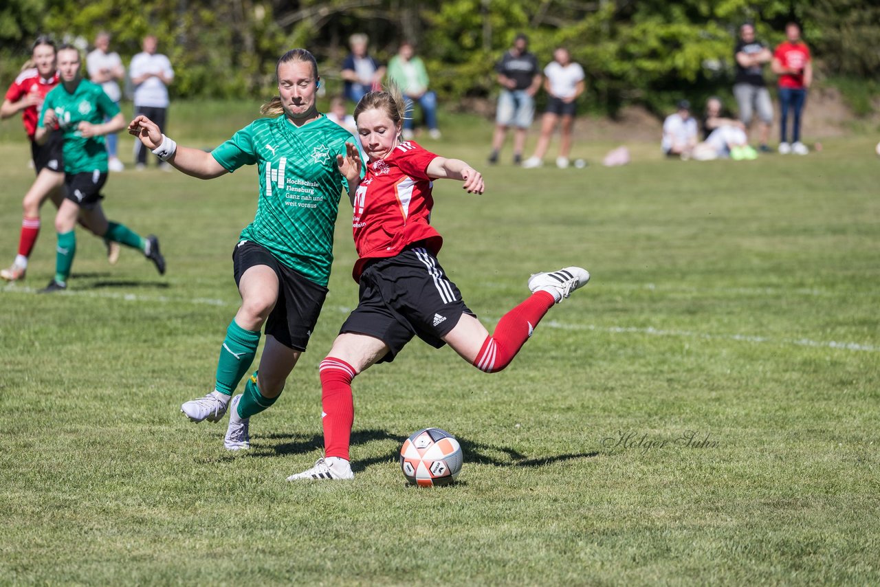 Bild 362 - F SG NieBar - IF Stjernen Flensborg : Ergebnis: 2:0